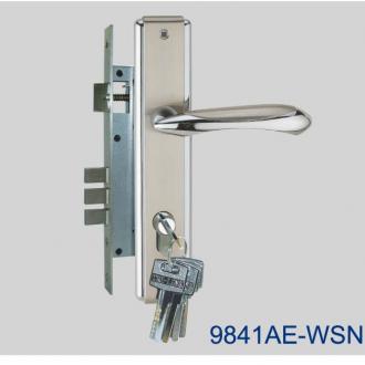 9841AE-WSN